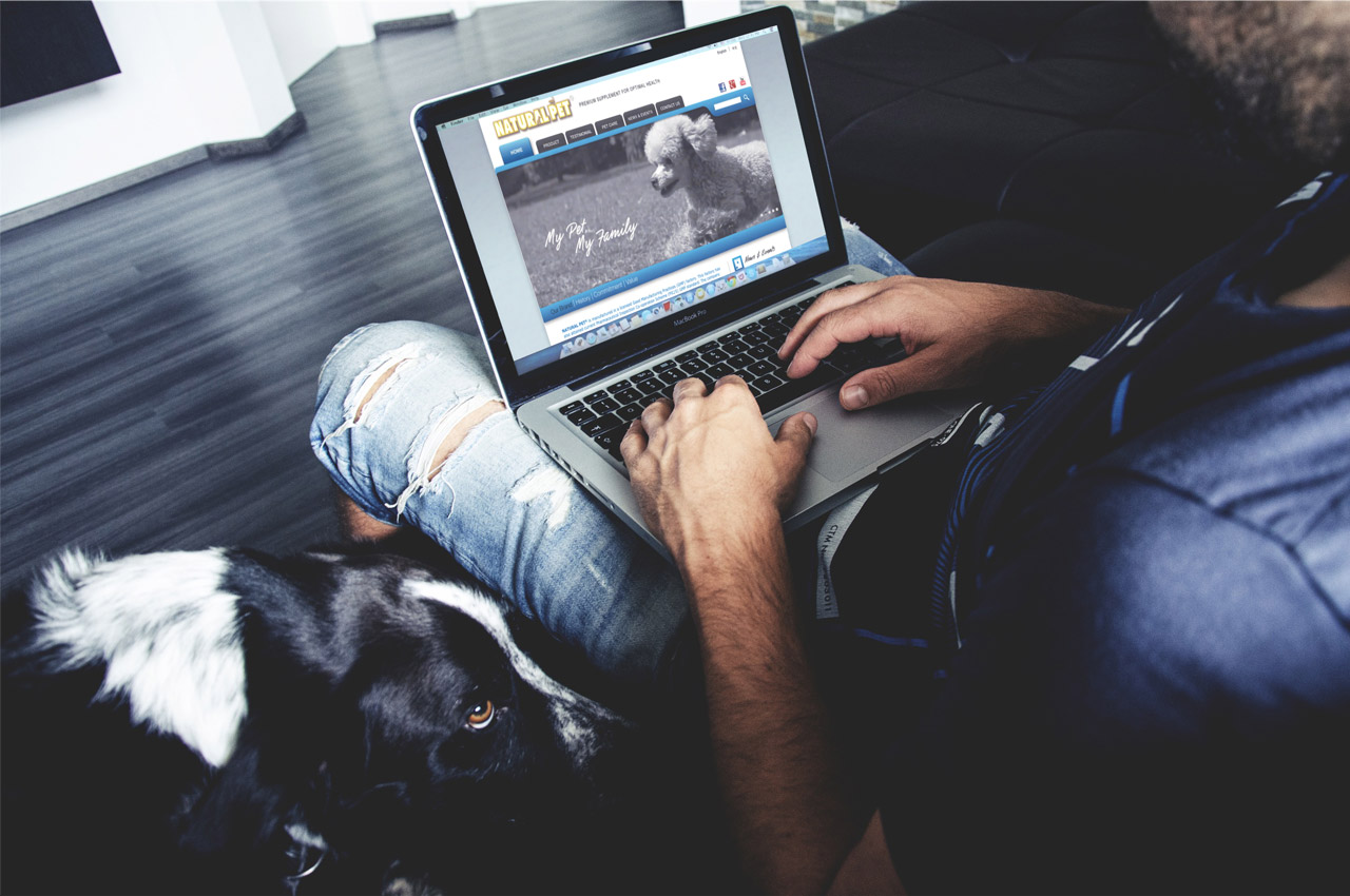 web development